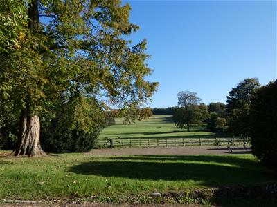 Picture 19